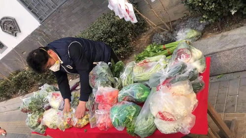 北京蔬菜供应充足稳定,市民不必抢购囤菜